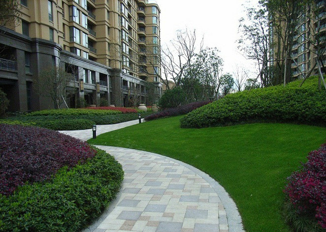 小區(qū)綠化園林植物的配置(圖文并茂) - 景觀設(shè)計(jì)方案